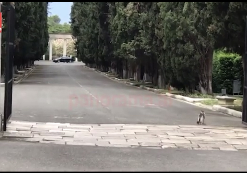 Bajram Begaj takon tre ish presidentët, çfarë bisedoi me Meidanin, Topin dhe Moisiun