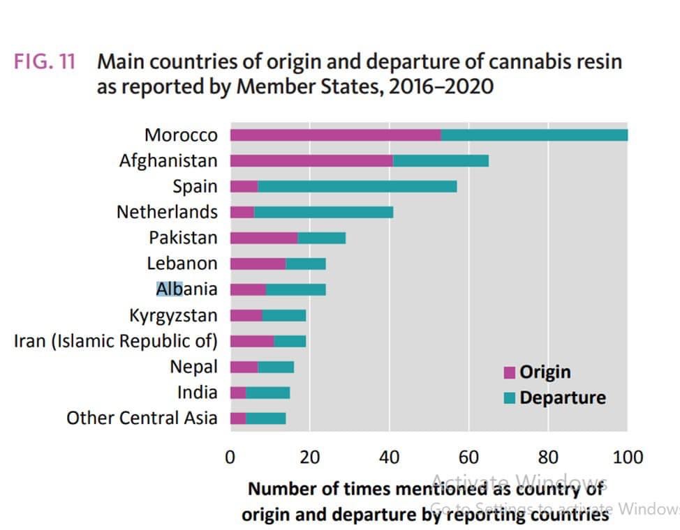 Raporti, Shqipëria në “G7” e vendeve më të fuqishme në kultivimin e kanabisit. Denoncimi i Ina Zhupës