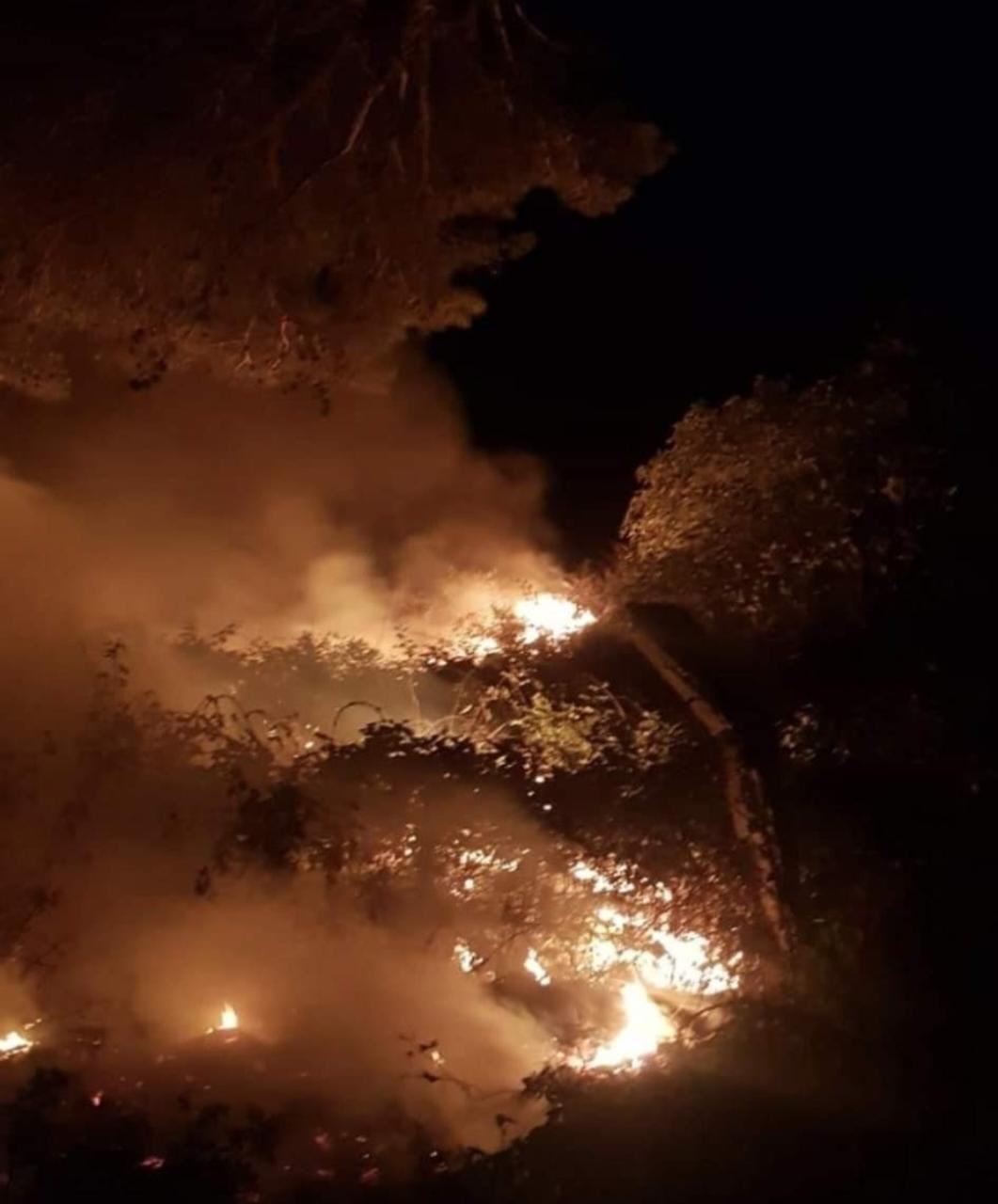 Zjarri i djeshëm në Sazan, pse është i shqetësuar Ili Meta