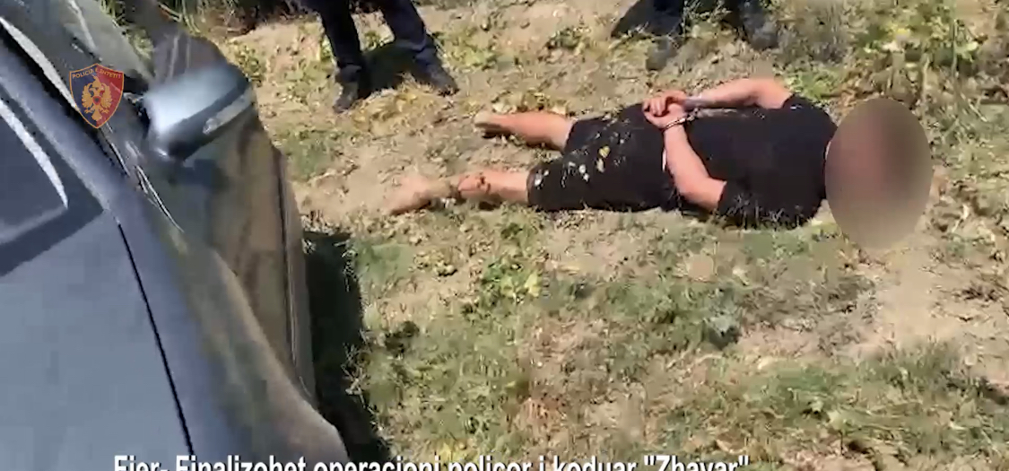 Aksion policor në arat e Zhavarrit të Fierit, policia ndjek një person me 80 kile kanabis