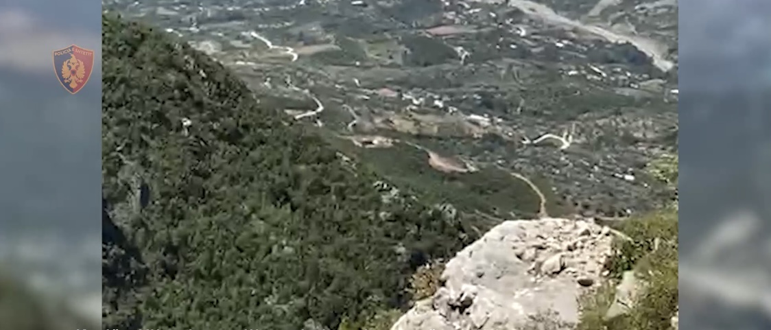 Efektivi i FNSH bie në greminë në malësinë e Krujës, policia gjen 3 parcela me kanabis