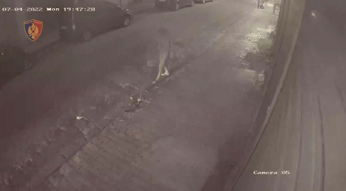 VIDEO/ Vidhte kabllo elektrike në qytetin e Durrësit, më në fund e gjen policia