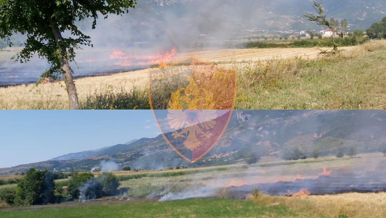 Dogji sipërfaqe të madhe toke në Dibër, policia nuk humb rastin