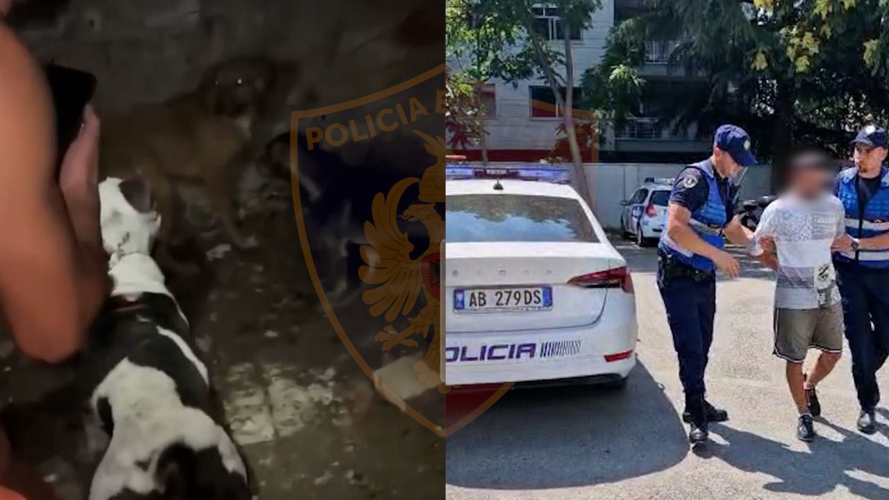 Ndeshje me qen, por ‘arbitri’ bie në pranga pas postimit të përleshjeve dramatike