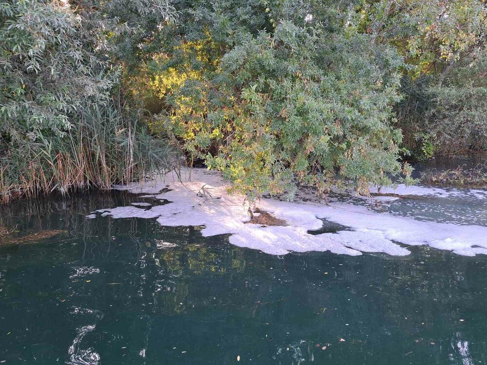 Kolektori i Velipojës derdh ujërat e zeza në Bunë, tronditet dhe Ulqini nga era e rëndë dhe rreziku për faunën e lumit