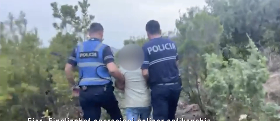 FIER/ Droni i policisë e kap duke vaditur bahçen me kanabis