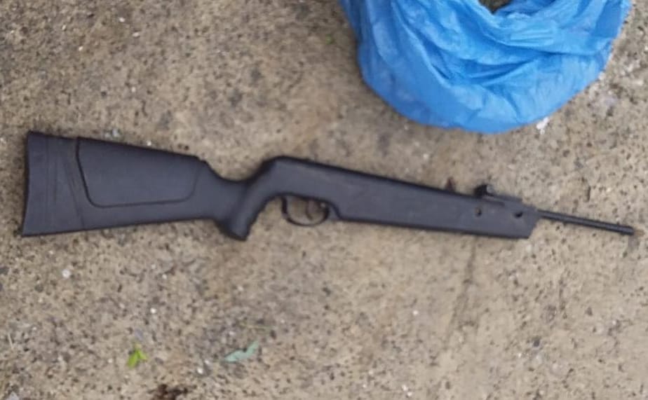 DETAJET/ Gjendet në ‘Guerile’ në Shkodër një bazë e trafikimit të kanabis