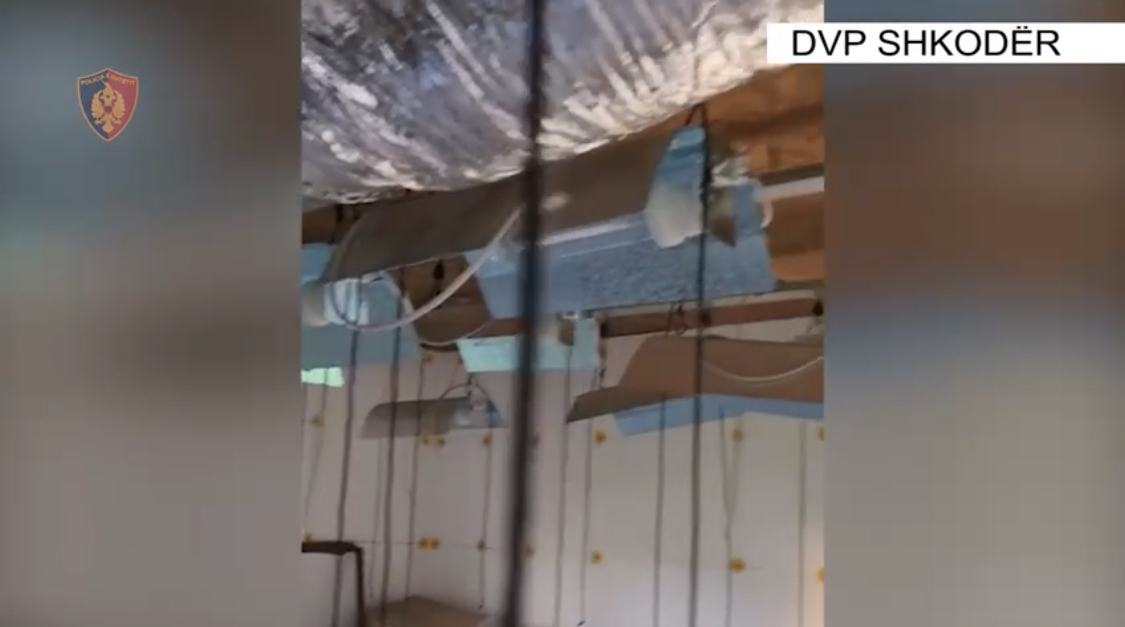 SHKODËR/ Shtëpi bari, armë me silenciator, çfarë u zbulua në Beltojë