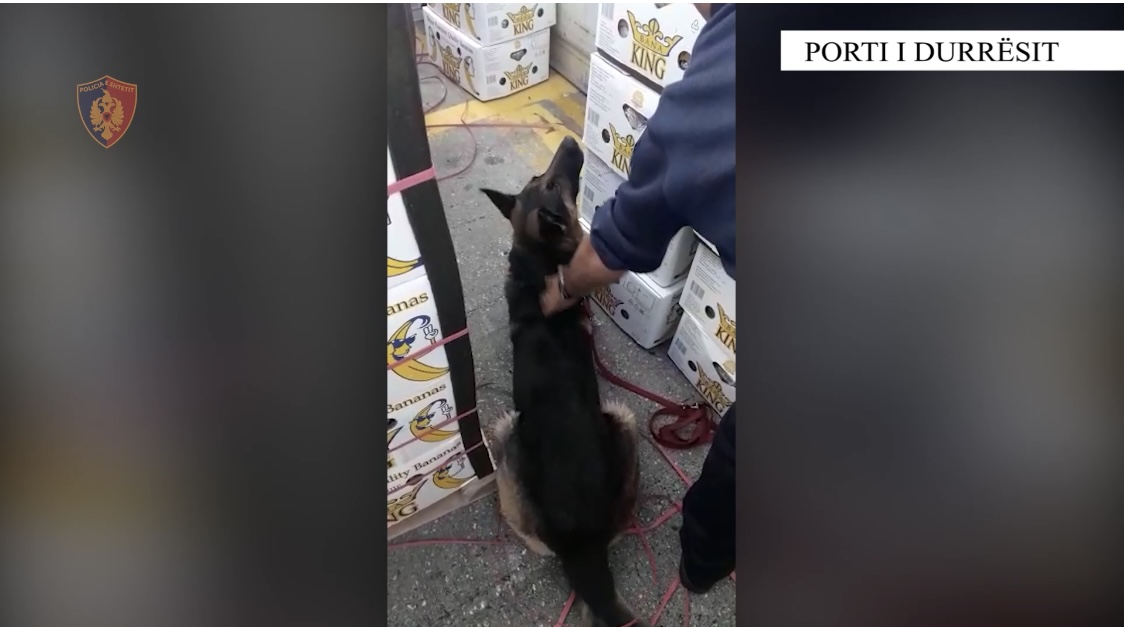 VIDEO/ Mësohet sasia e kokainës së kapir në Durrës, shoqërohen 8 persona