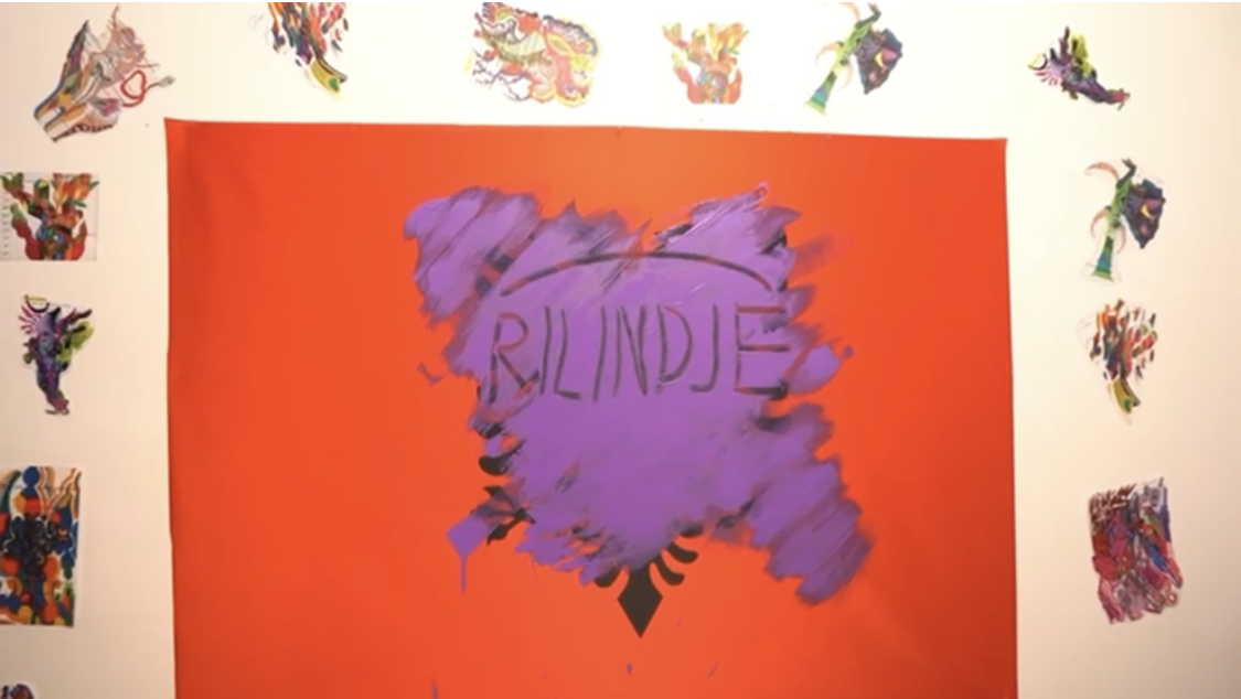 VIDEO/ PD nxjerr videon që lajmëron protestën e 12 nëntorit, një shqiponjë nën baltën mavi