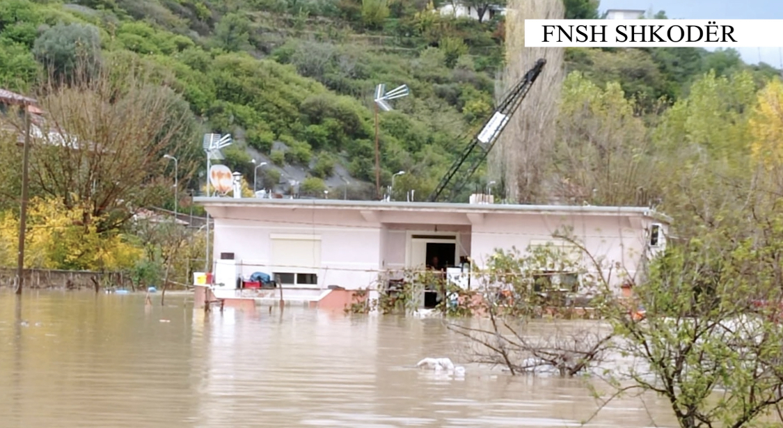 VIDEO/ Evakuohen 2 familje në Shkodër, uji u mbushi shtëpinë