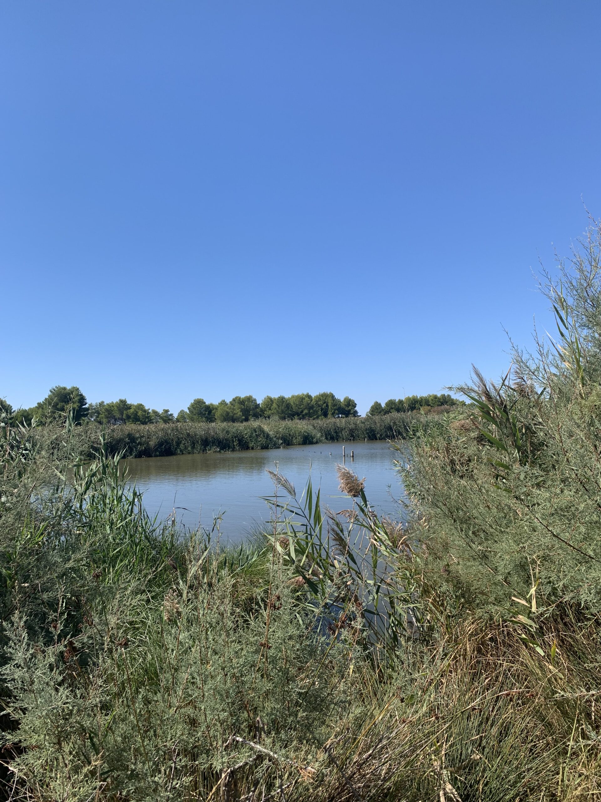 SPECIALE/ Të peshkosh i izoluar nga të tjerët, ja disa nga pikat e peshkimit ku takon vetëm peshqit