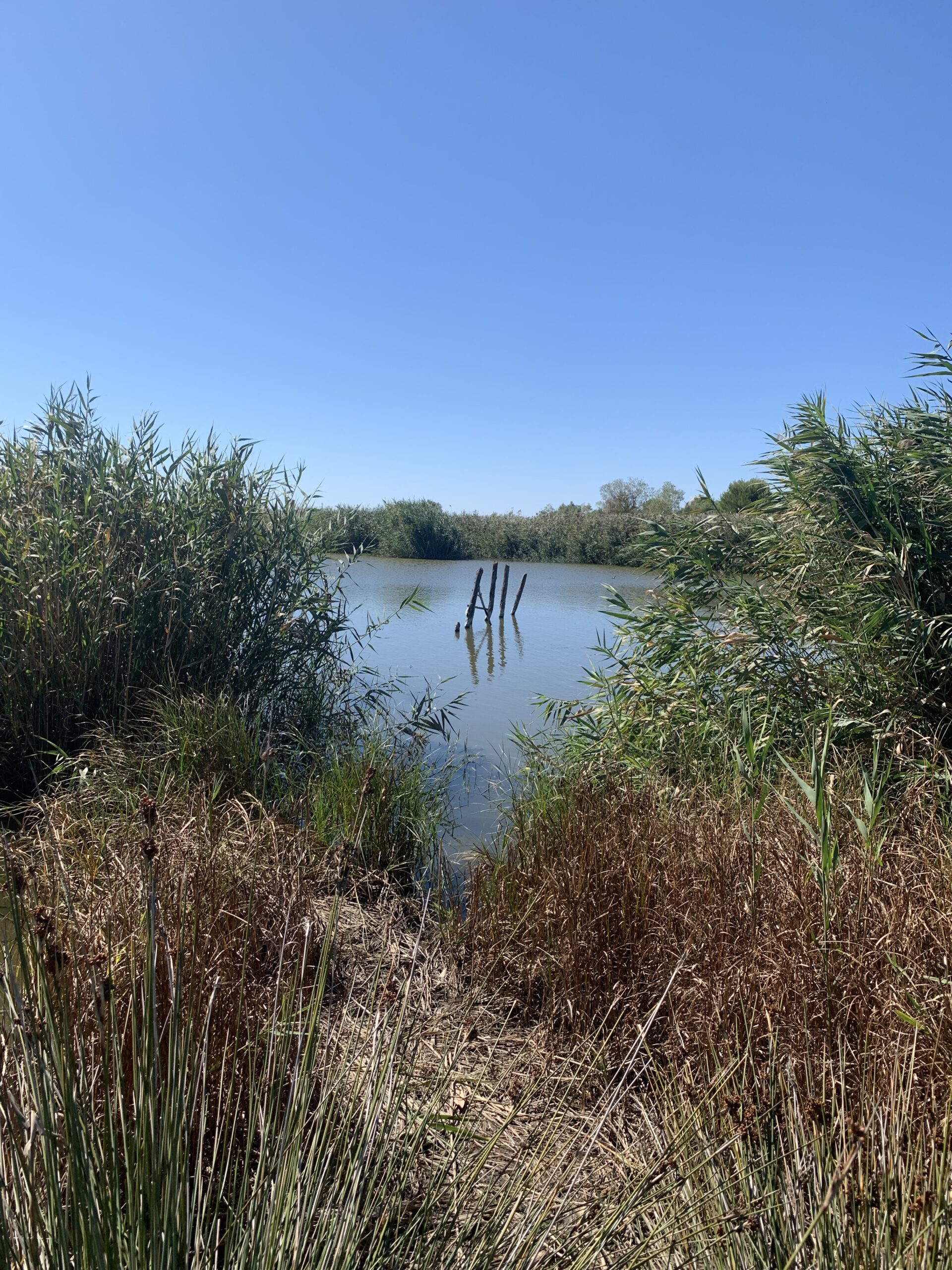 SPECIALE/ Të peshkosh i izoluar nga të tjerët, ja disa nga pikat e peshkimit ku takon vetëm peshqit