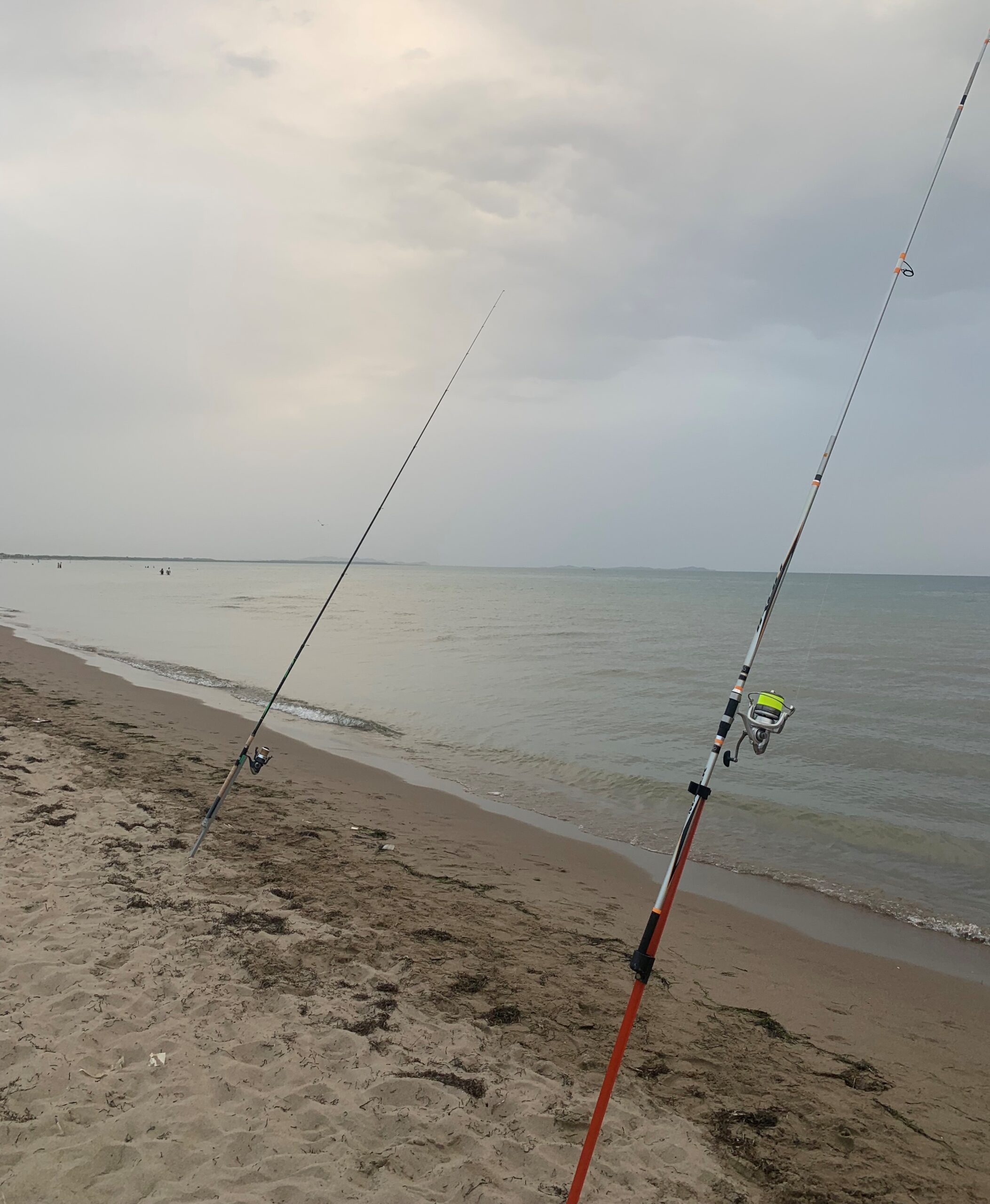 Peshqit qe gjuhen me grep, provojeni në bregun e Durrësit dhe Lezhës