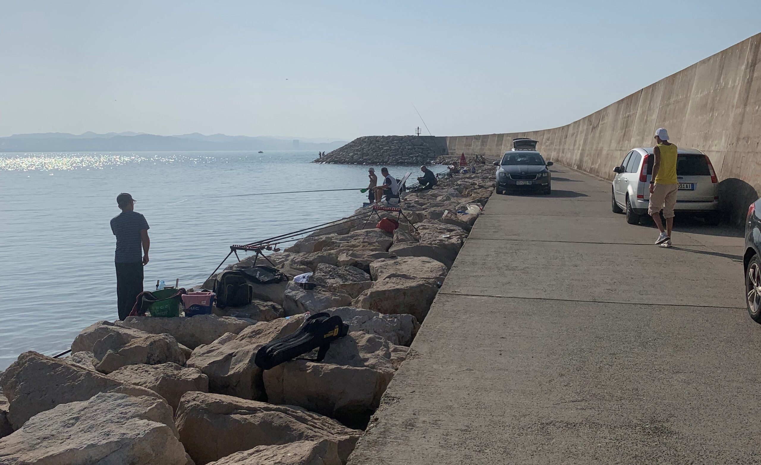 Peshqit qe gjuhen me grep, provojeni në bregun e Durrësit dhe Lezhës