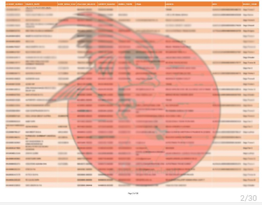 Hakerat publikojnë llogaritë e 1000 personave dhe kompanive më të pasura në Tiranë