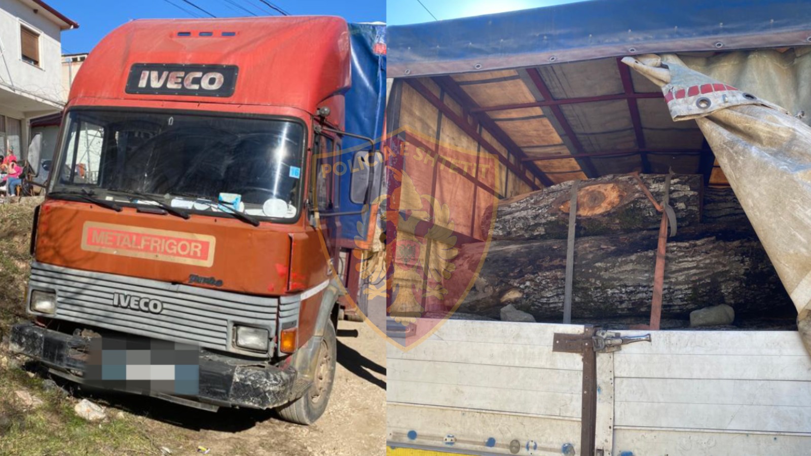 ELBASAN/ Në pranga 2 persona, prenë pyjet për dru zjarri