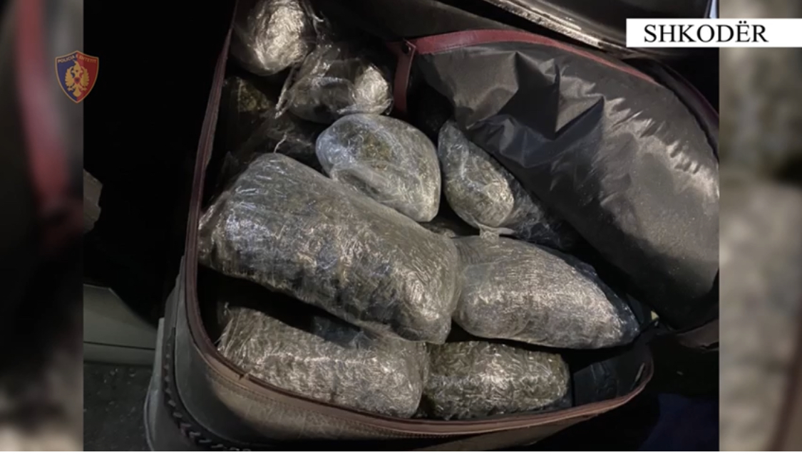 Kapen 17 kg kanabis në Malësi të Madhe, 3 në pranga