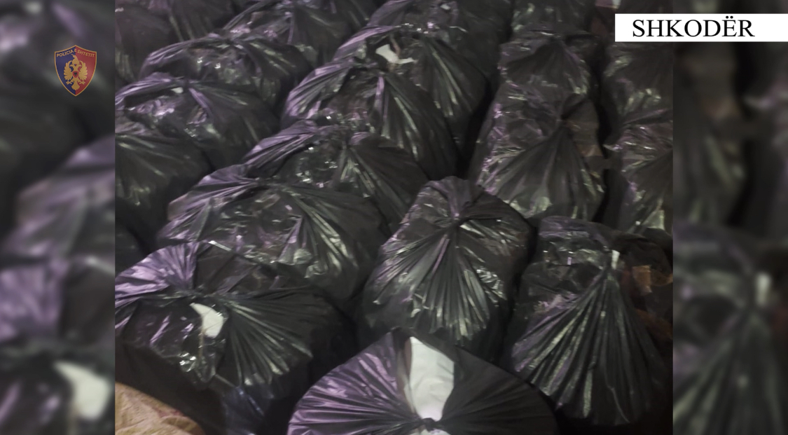 SHKODËR/ 3 në pranga për 700 kile duhan të grirë