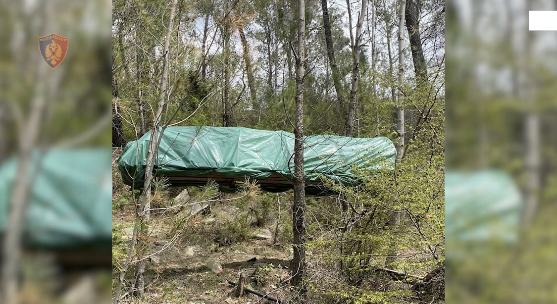Fushë Kruja, ky vend pjellor për kanabis e të tjera