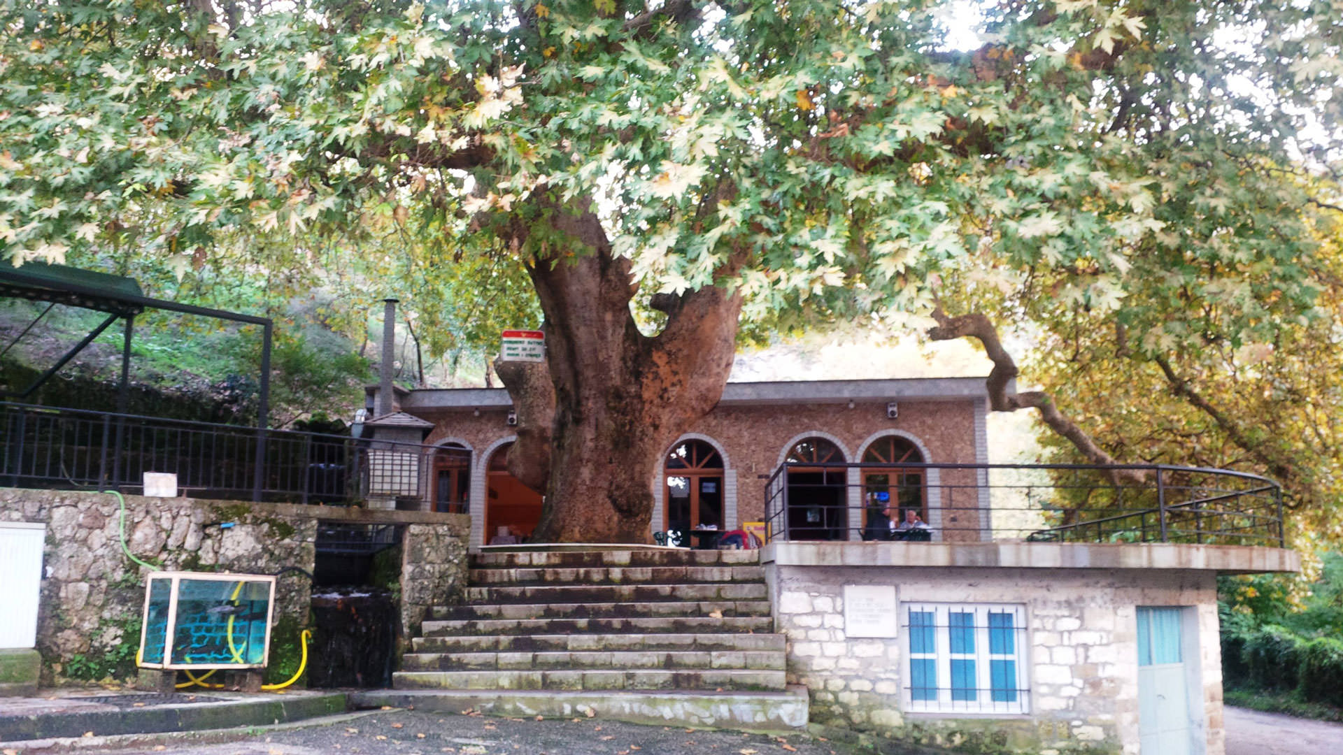 Si partizanët vranë familjen e Avni Rustemit në Libohovë. Lista me qindra libohovitë të pushkatuar