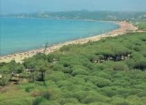 E rëndë në plazhin e Vilë Boshtovës, mbyten në det babai me 2 djemtë e tij