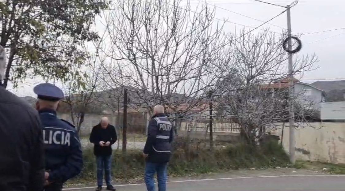 Dinamika e ngjarjes, si ndodhi vrasja në burgun e Peqinit. Ish-ministri: Pistoleta nuk mund të vinte me dron