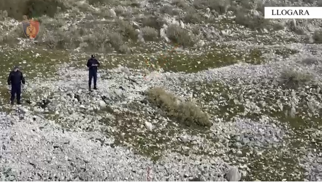 Hodhën mbeturina në Qafën e Llogarasë, nis procedimi penal ndaj 3 pronarë restorantesh