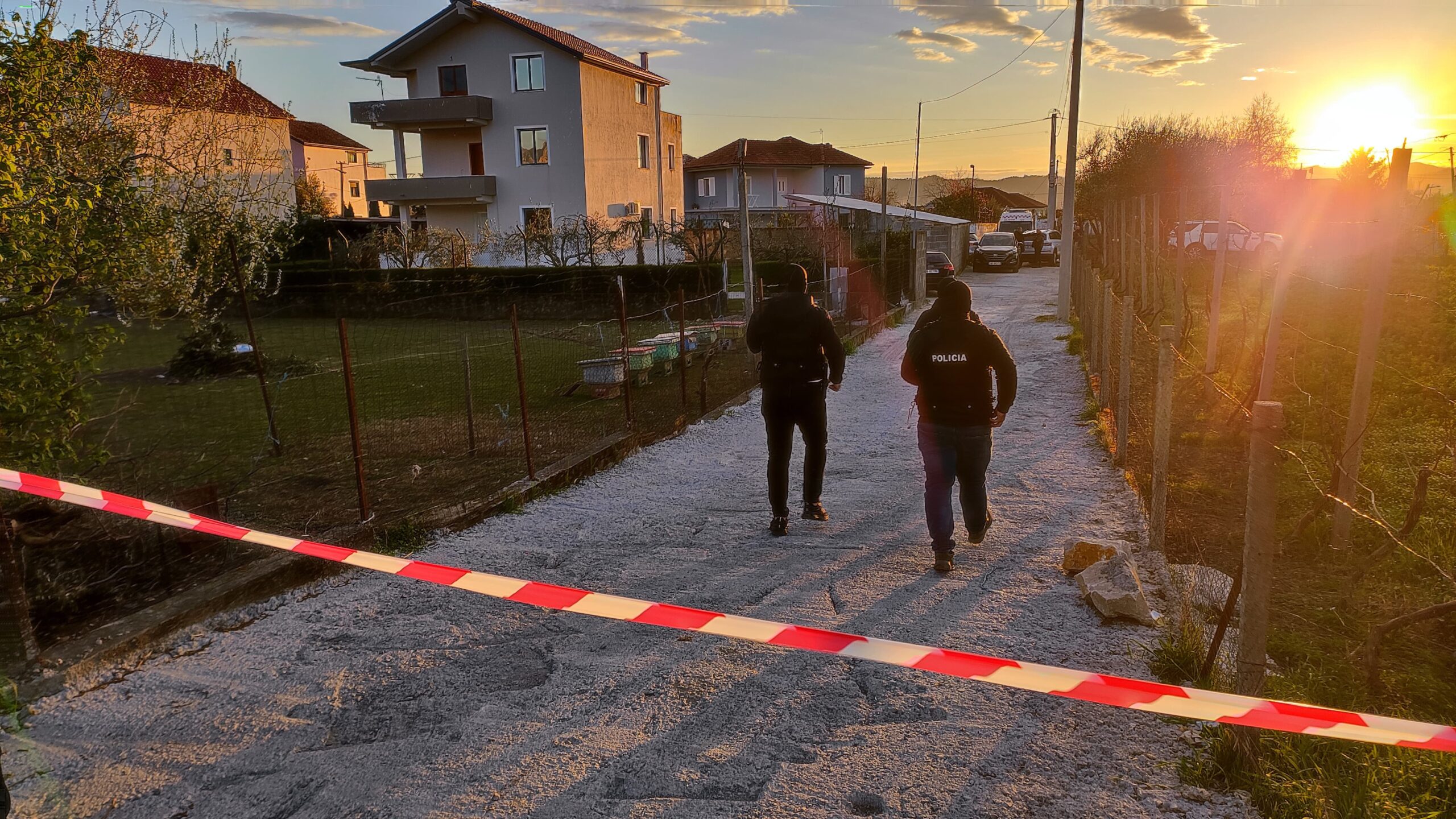 Dyshimet, 4 qitësa në oborrin e shtëpisë së Gentian Bejtja