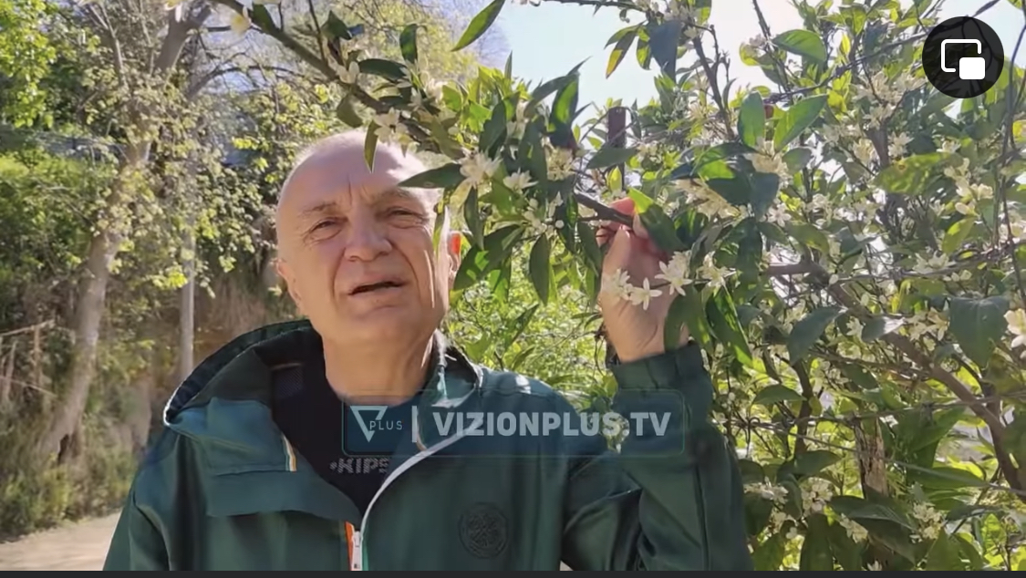 Meta shpjegon me etikë videon ku reciton vargjet “Prill-Maj, p**** mos iu ndaj”. Nuk është ‘p***’, është ‘Vlora’