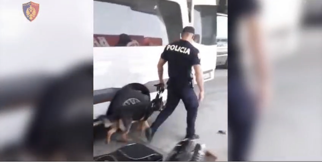 Njësia antiskifter kap mallin e hajdutëve që thyejnë shtëpitë në Itali