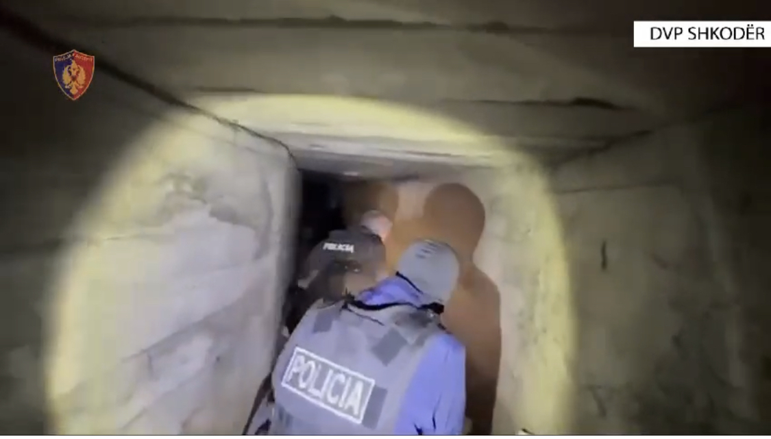 PAMJET/ Tynel droge në Shkodër, drejtori Sulaj jep detajet. Zbulohen ferma të jeshiles