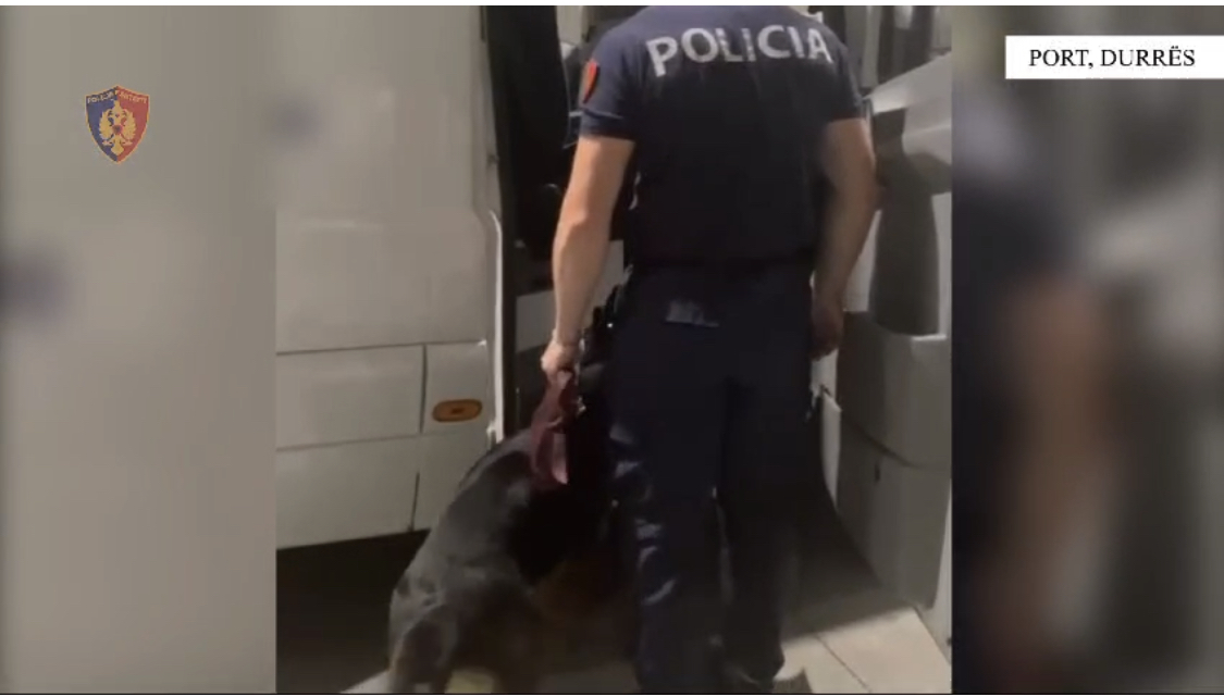 U kapën 7 kile në Durrës. Kush është pritësi i drogës në Britani