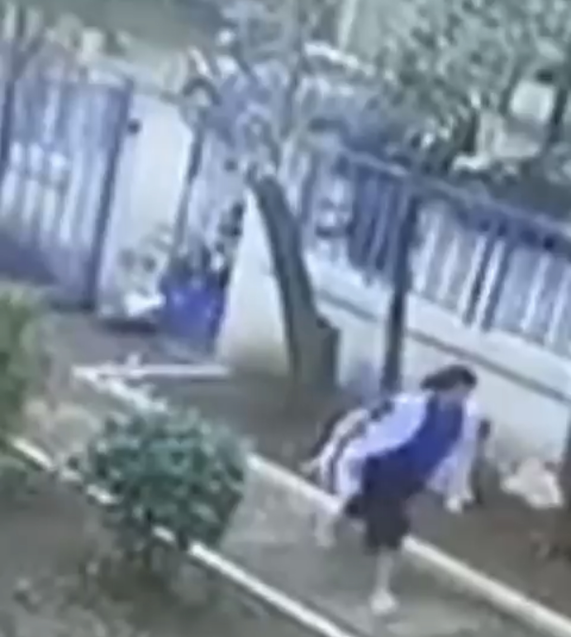 VIDEO/ Dalin pamjet kur u godit avokati Mëngjesi tek kopshti ku la të birin