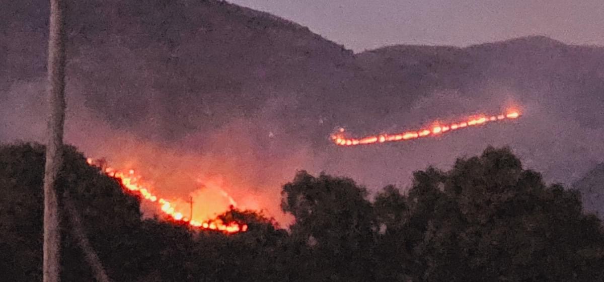 Zjarr masiv në fshatrat e Delvinës, alarmon deputetja e opozitës