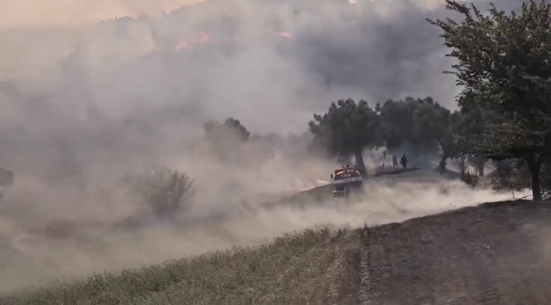Zjarr i madh në Kavajë, zjarrfikës nga disa qytete evakuojnë banorët