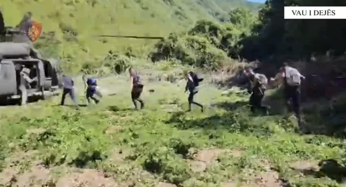 Në malet e Temalit në Shkodër, parcela me kanabis, helikopteri dërgon policinë