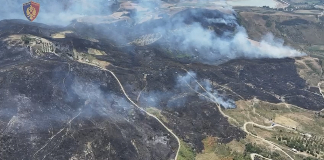 Zjarri i madh në Selenicë, digjen sipërfaqe të mëdha ullinjsh e pyjesh, policia e gjen 63 vjeçarin