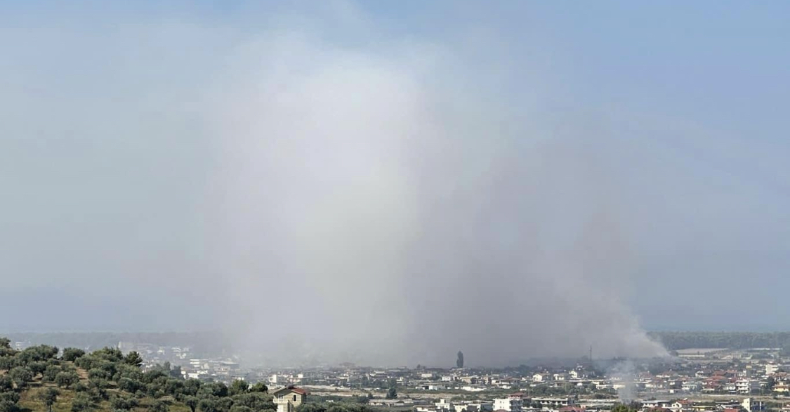 Tymi i plehrave në Vlorë, histori korrupsioni. Ja si u zhvilluan tenderat disamilionësh