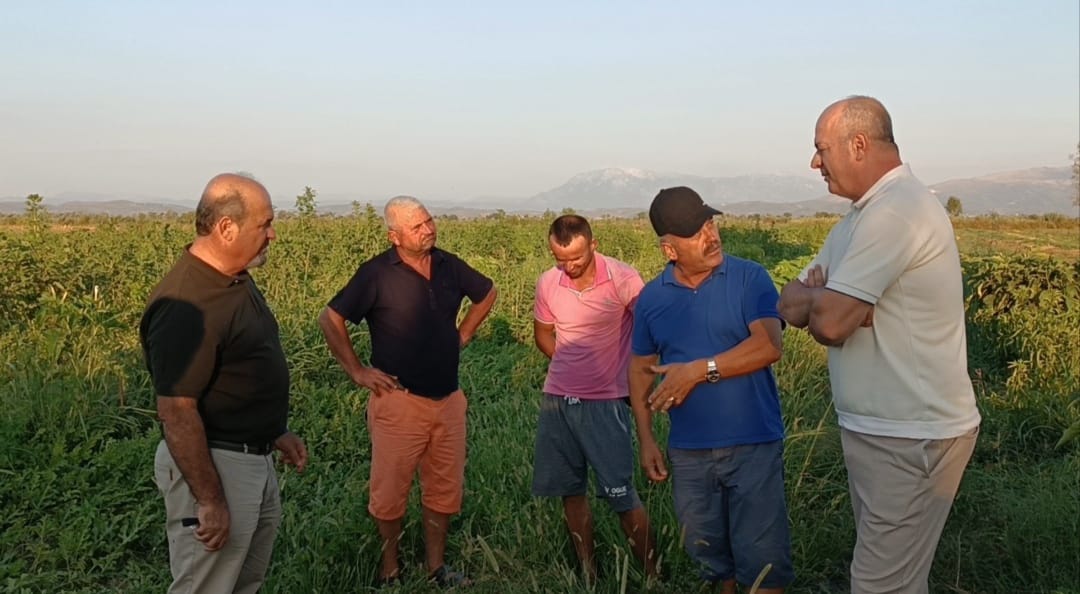 PD, dyfishim të mbështetjes për fermerët kur të vijë në pushtet