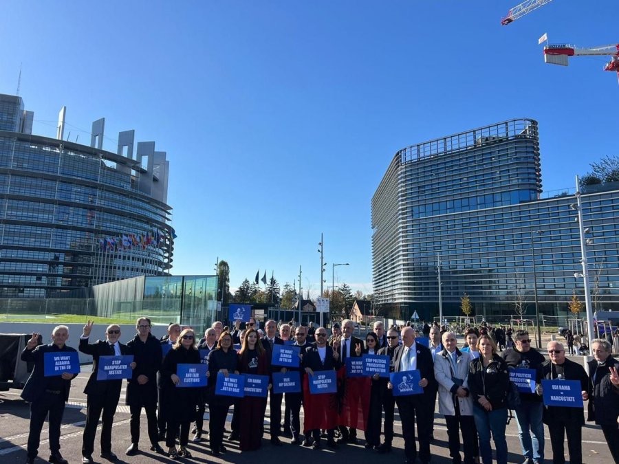 Deputetët e PD, protestë në Strasburg. Një grup merr pjesë në punimet e PE