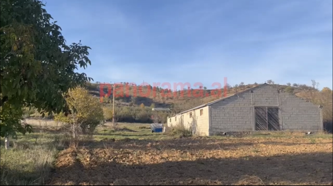 Kapet sasi e madhe droge në Voskop, Korçë, zbulohet ‘Ndërmarrja e Grumbullimit”