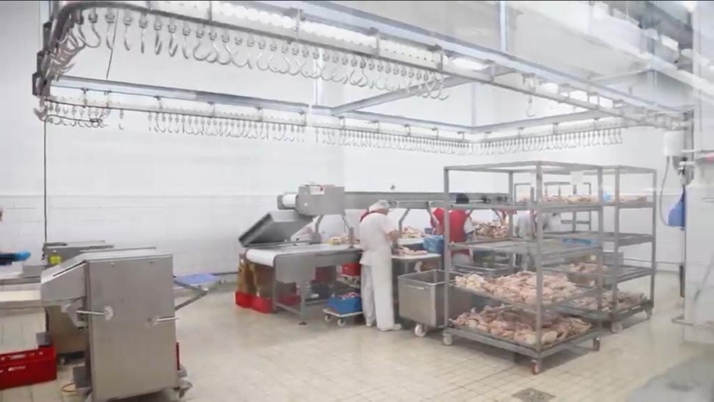 Fileto pule me salmonelë në Durrës, prokuroria e Tiranës nis hetimin. Kompania mori edhe fonde IPARD